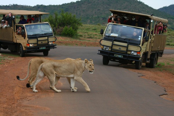 sun tours south africa