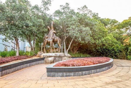 Sun City Resort Day Visit near Sun City and Sundown Country Estate