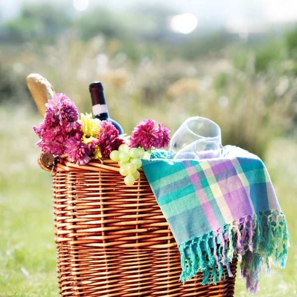 Things to do in Pretoria East Tshwane Tourist Attractions